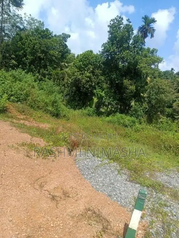 Gonapola Kumbuka Land for Sale