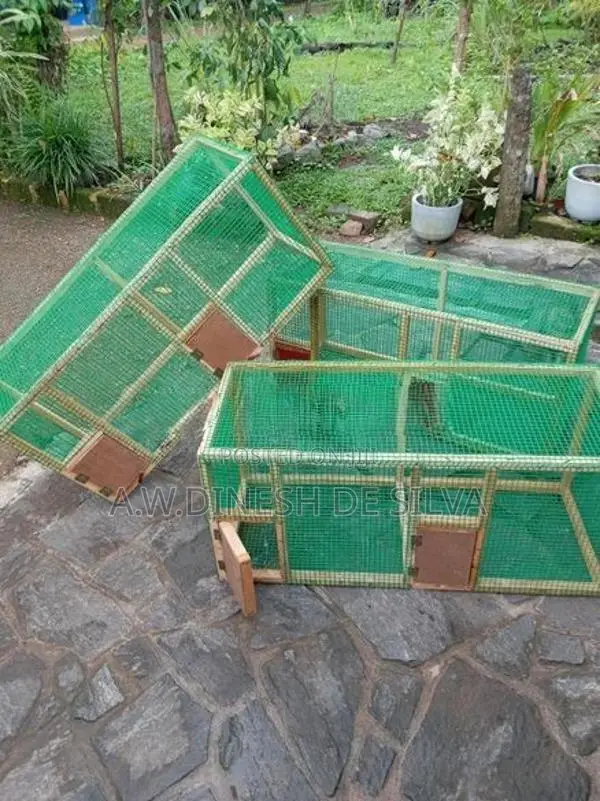 Bird Breeding Cage