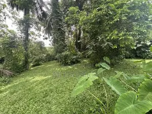 ( YS-1300) Valuable Single Storey House Sale In Athurugiriya Panagoda
