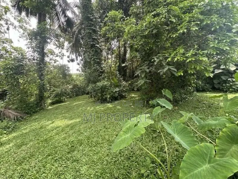 ( YS-1300) Valuable Single Storey House Sale In Athurugiriya Panagoda