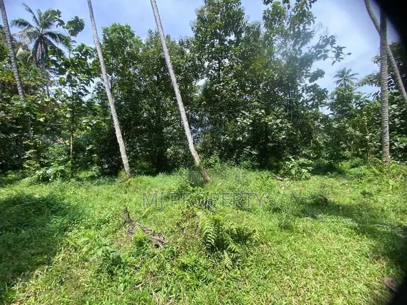 ( TS-1301) Valuable Residential Bare Land Sale In Kaluaggala Hanwella