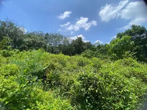 ( TS-1302) Valuable Residential Bare Land Sale In Kaluaggala Hanwella