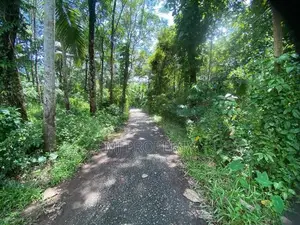 ( TS-1302) Valuable Residential Bare Land Sale In Kaluaggala Hanwella