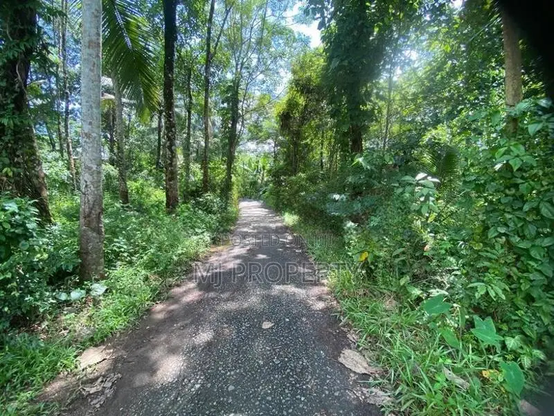 ( TS-1302) Valuable Residential Bare Land Sale In Kaluaggala Hanwella