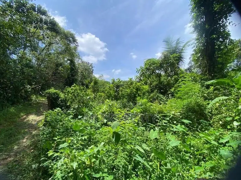 ( TS-1302) Valuable Residential Bare Land Sale In Kaluaggala Hanwella