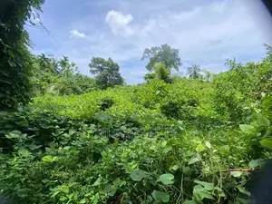 ( TS-1302) Valuable Residential Bare Land Sale In Kaluaggala Hanwella