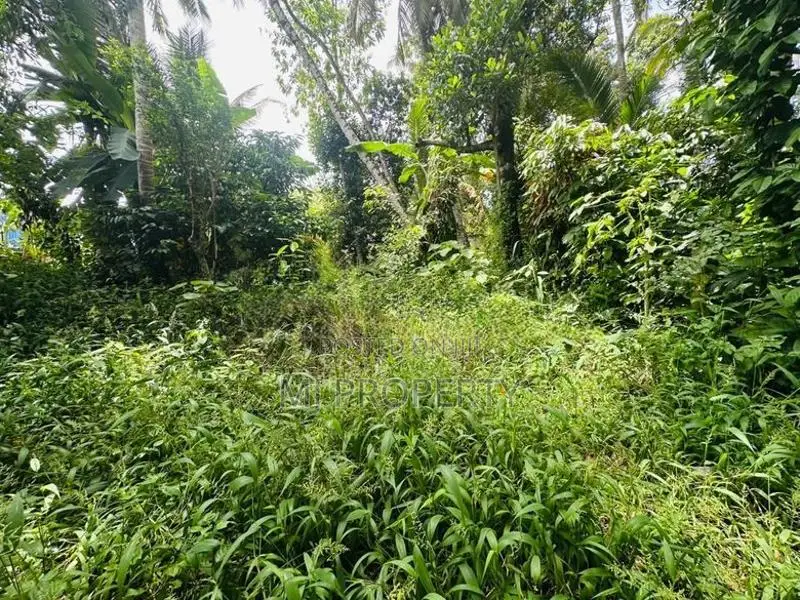 ( YC-1304) Highly Valuable Commercial Land Sale In Homagama