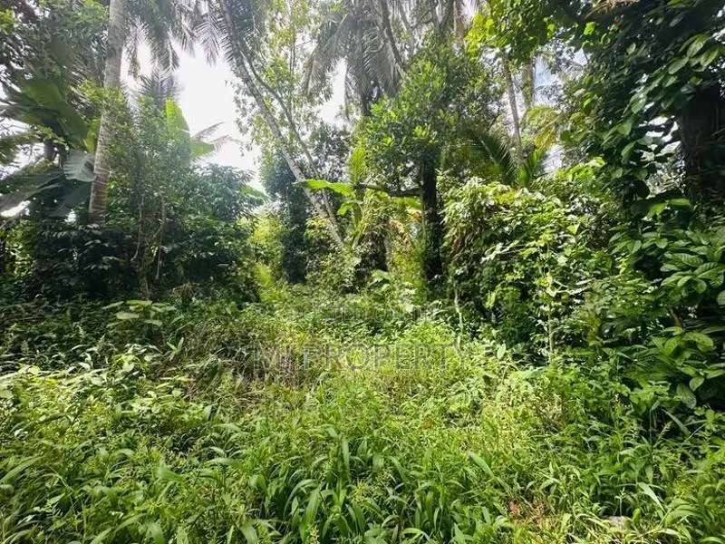 ( YC-1304) Highly Valuable Commercial Land Sale In Homagama