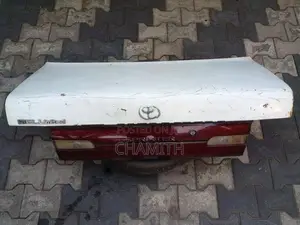 Sprinter 100 Dicky Door