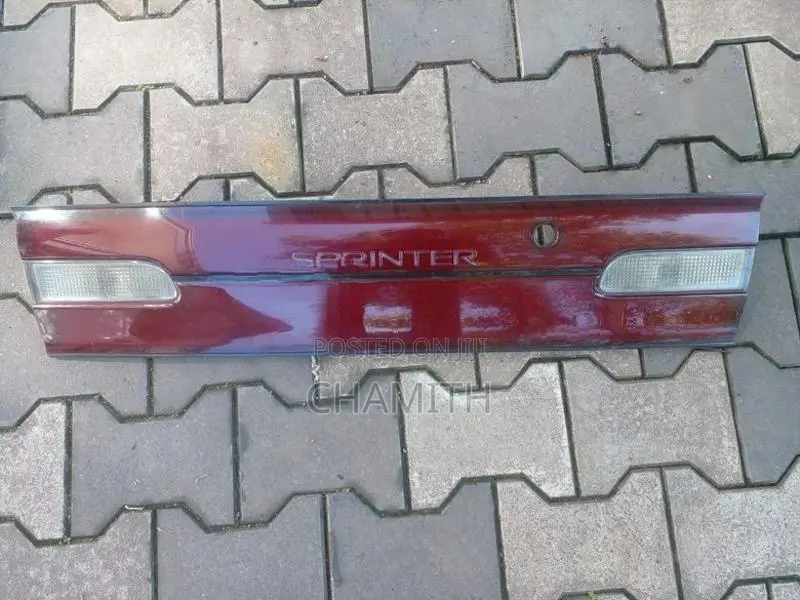 Sprinter 100 Dicky Door