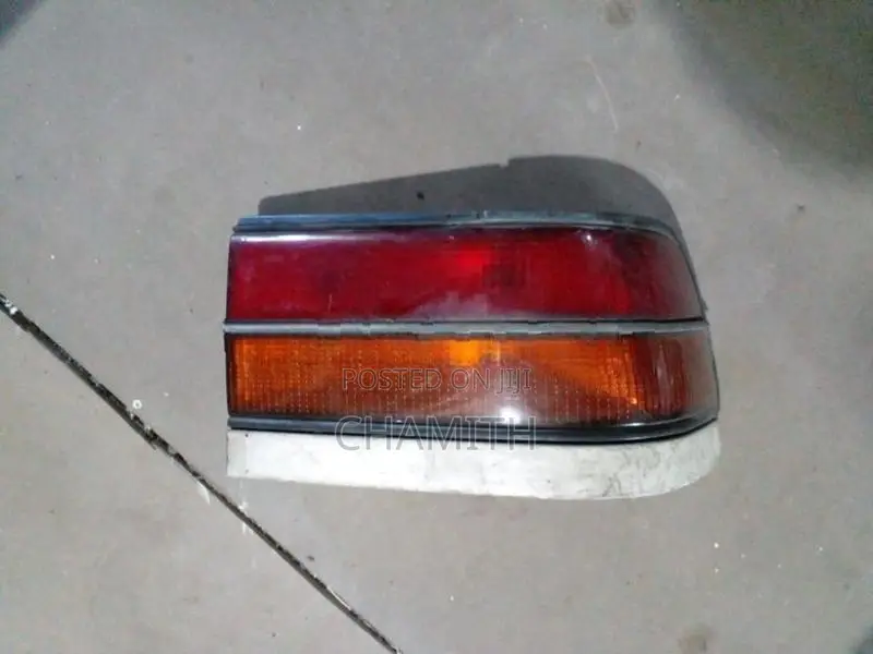 Corona 170 Dicky Door