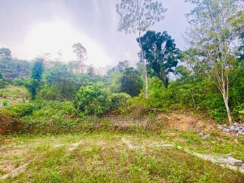 ( IS-1001) Highly Valuable Commercial Land Sale In Homagama