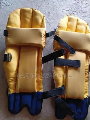 Cricket Set