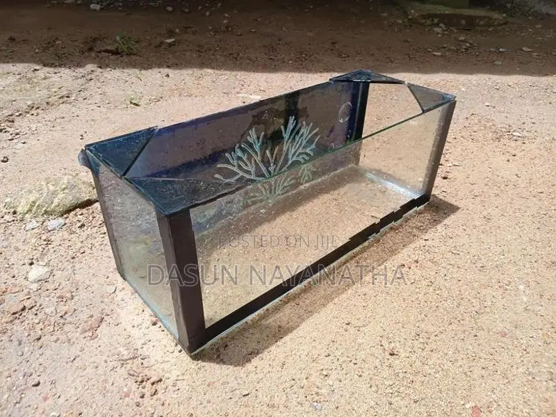 Fish Tank