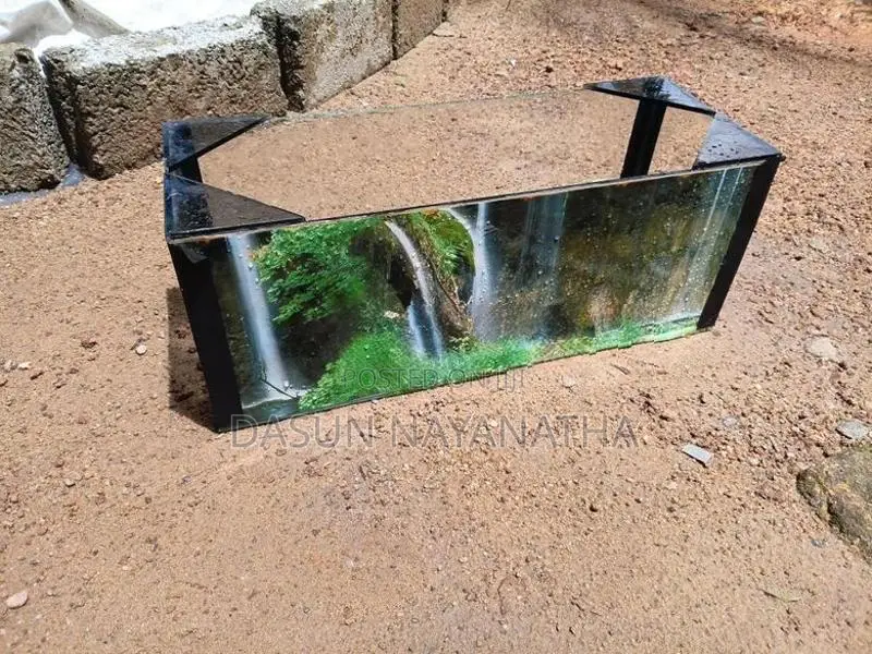 Fish Tank