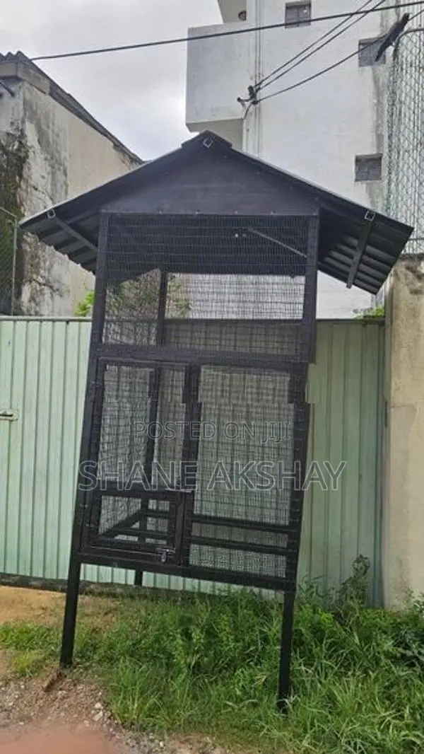 Bird Cage