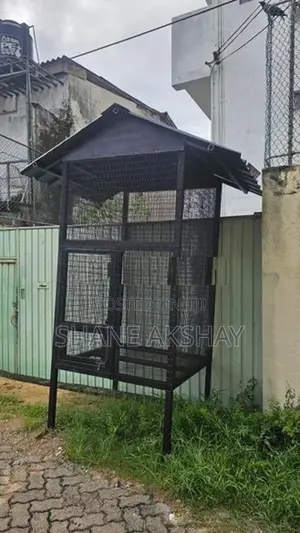 Bird Cage