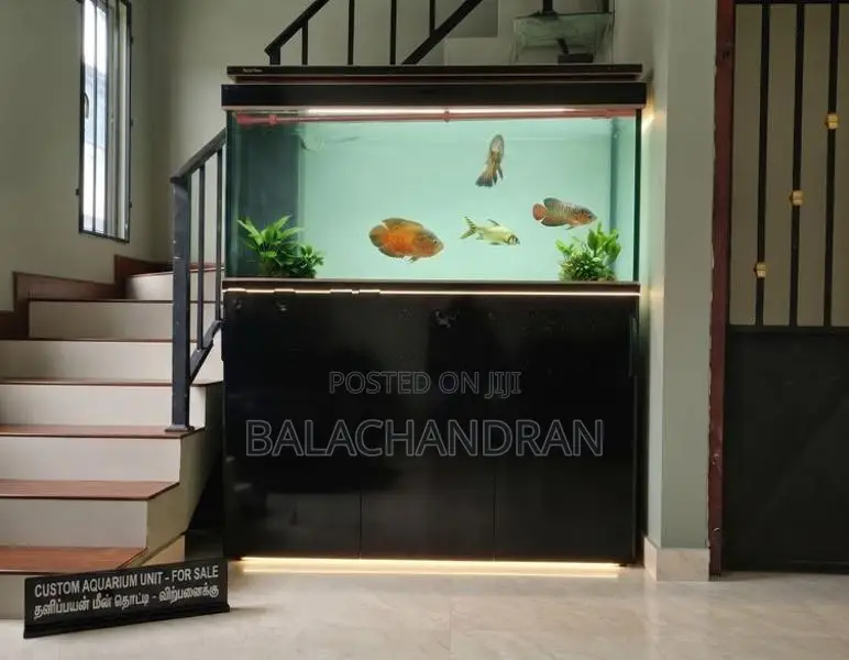 Fish Tank