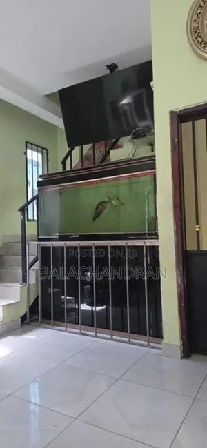 Fish Tank