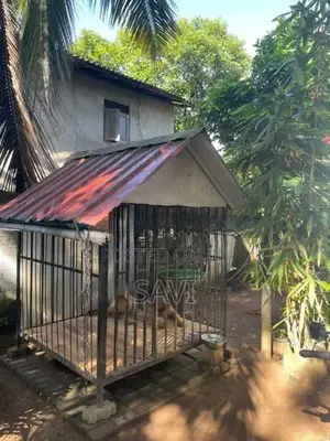 Dog Cage