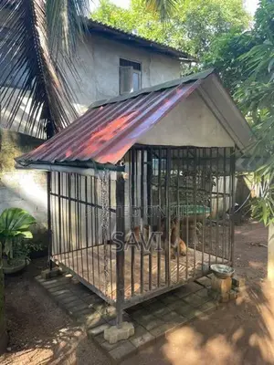 Dog Cage
