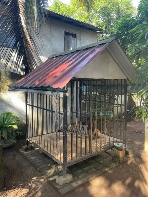 Dog Cage
