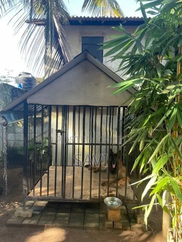 Dog Cage