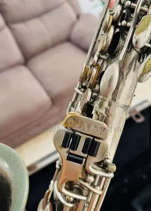 Selmer Bundy Alto Saxophone