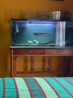 Fish Tank 4.5ft X 1.5ft