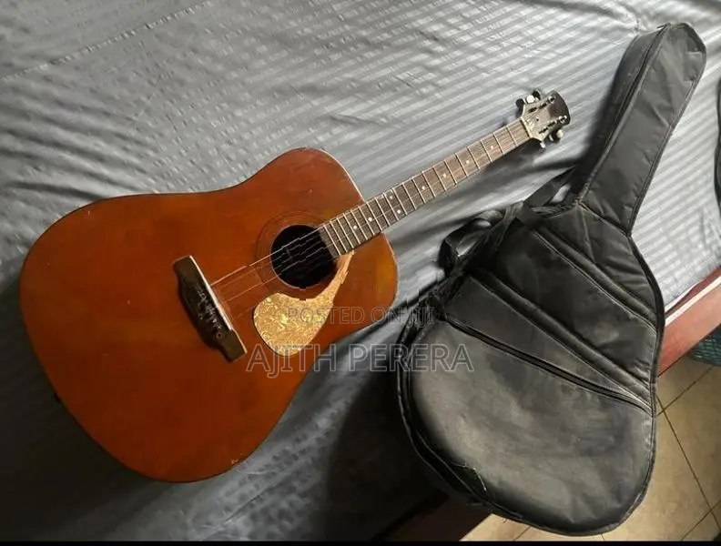 Guitar
