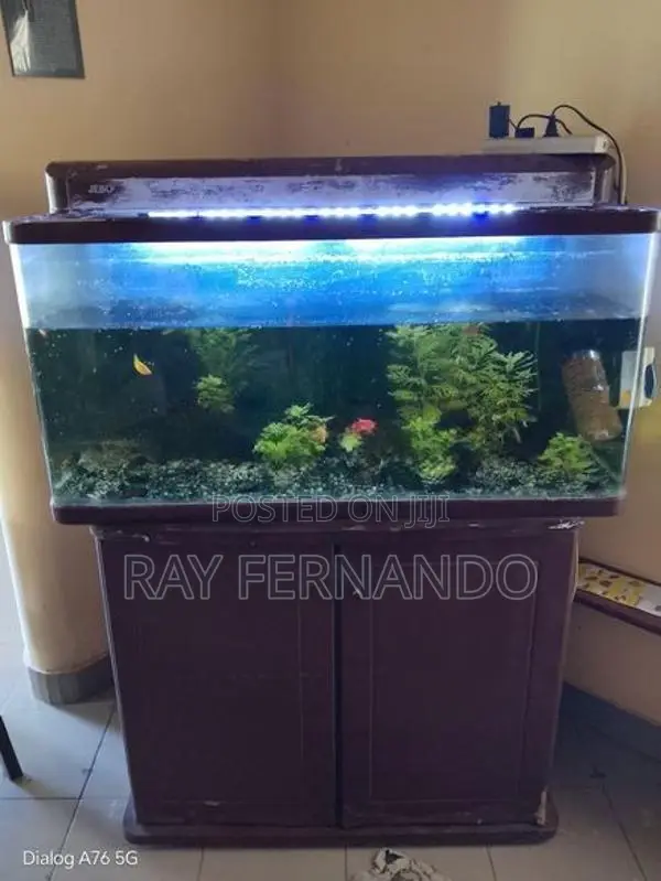 Fish Tank