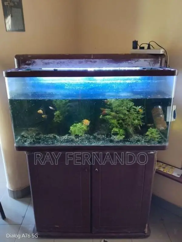 Fish Tank