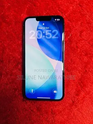 Apple iPhone 13 Pro (Used)