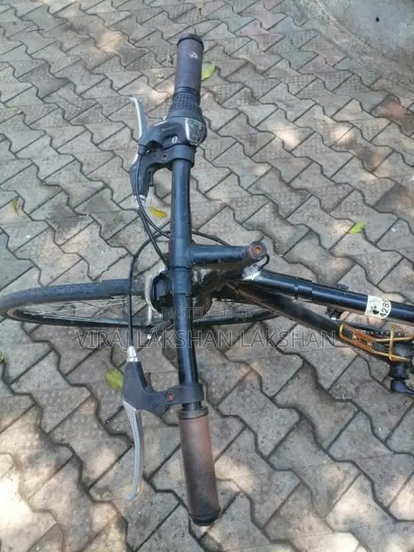 Japan Cycle