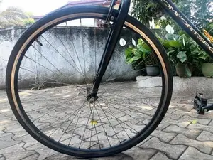 Japan Cycle
