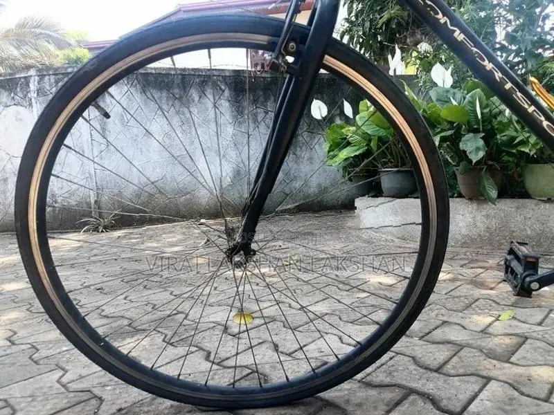 Japan Cycle