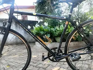 Japan Cycle