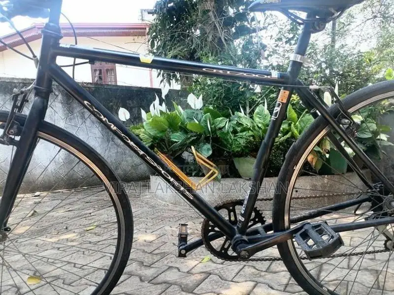 Japan Cycle