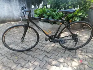 Japan Cycle