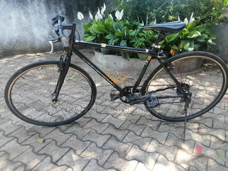 Japan Cycle