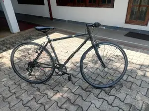 Japan Cycle