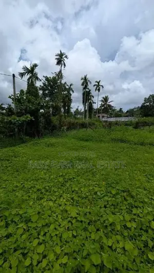 හෝමාගම – කිරිවත්තුඩුවෙන් පදිංචියට ඉතා වටිනා බිම් කොටසක්