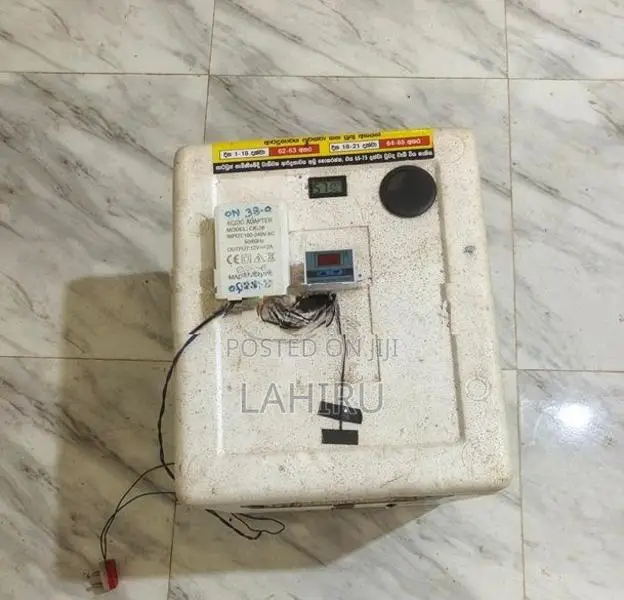 Egg Incubator (50 Eggs Capacity)