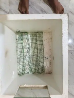 Egg Incubator (50 Eggs Capacity)