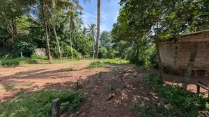 බියගමින් ඉඩම