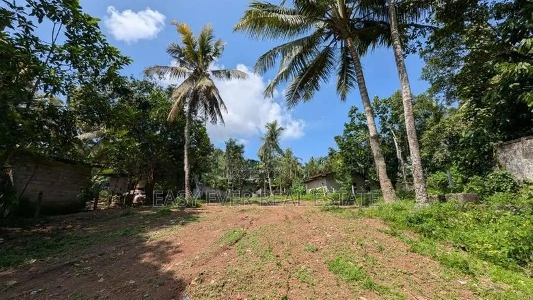 බියගමින් ඉඩම