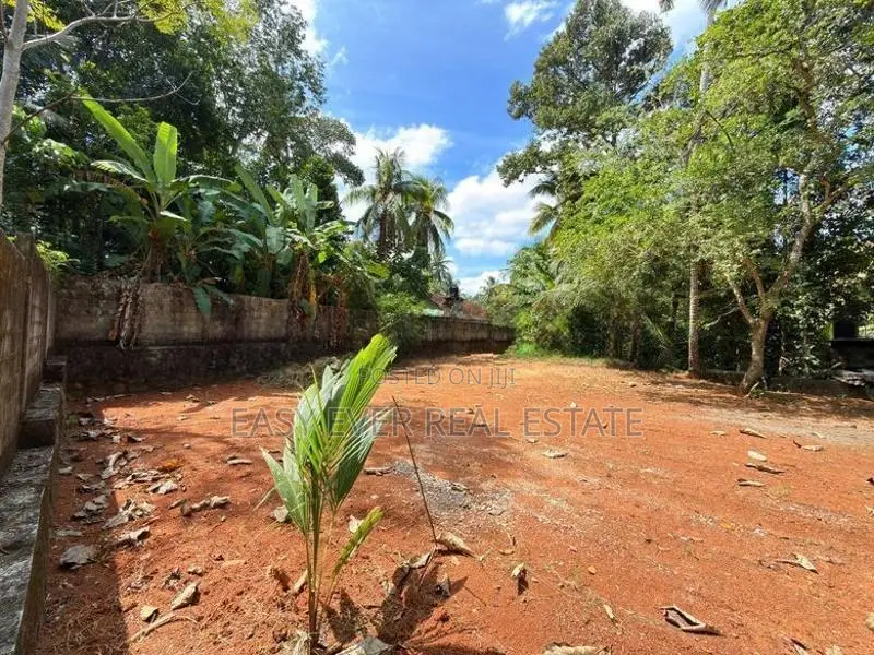 නිට්ටඹුව ඉඩම විකිණීමට