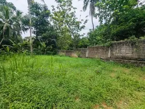නිට්ටඹුව ඉඩම විකිණීමට