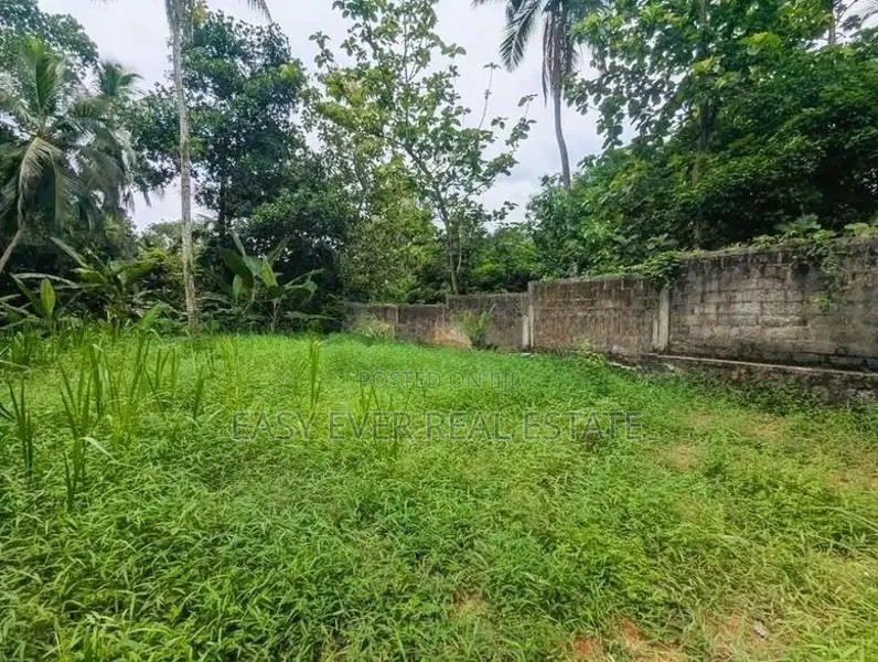 නිට්ටඹුව ඉඩම විකිණීමට