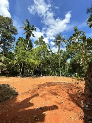 නිට්ටඹුව ඉඩම විකිණීමට